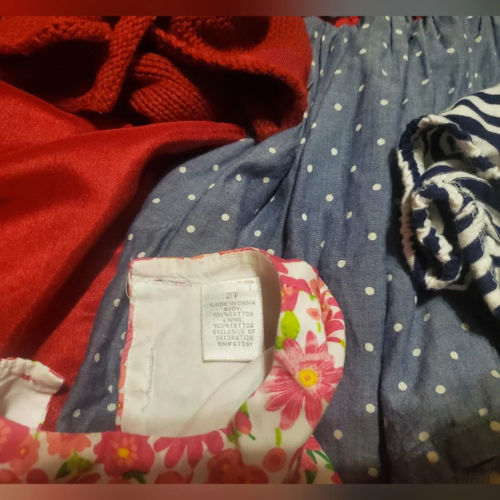 Baby Girl Toddler Lot Bundle Dresses Jackets Coats Fancy Church Sweater Winter - Picture 7 of 12